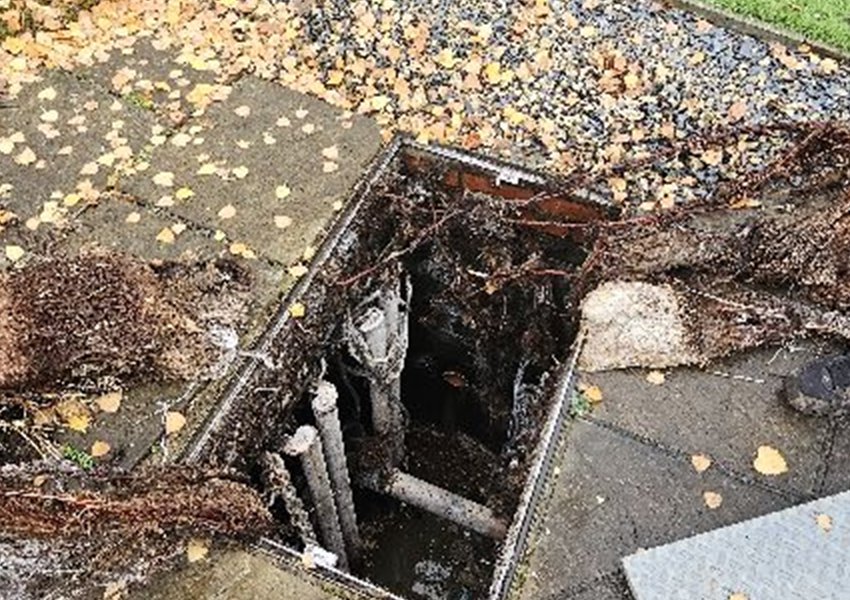 Chamber cover lifted showing roots and cobwebs inside a pump chamber