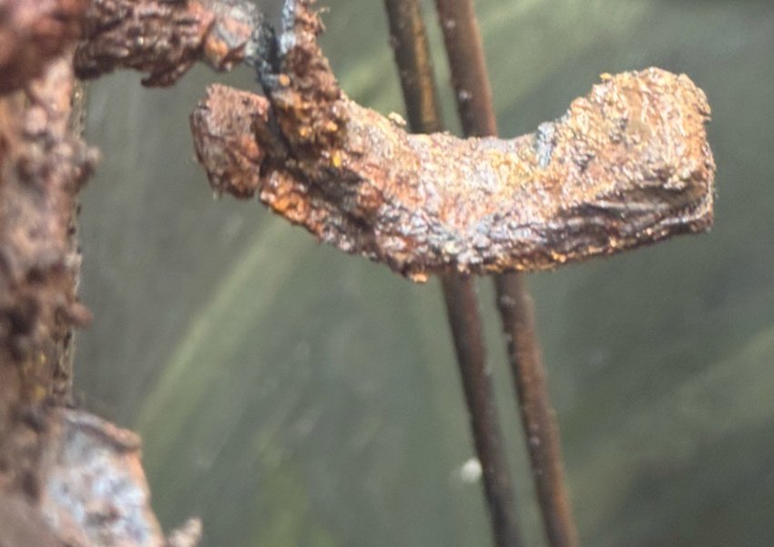 Corroded float rail bracket that had snapped in a pump chamber in Wokingham