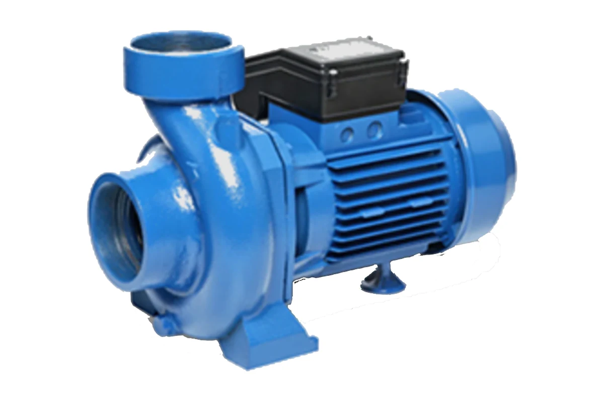 Ebara surface-mounted centrifugal water pump