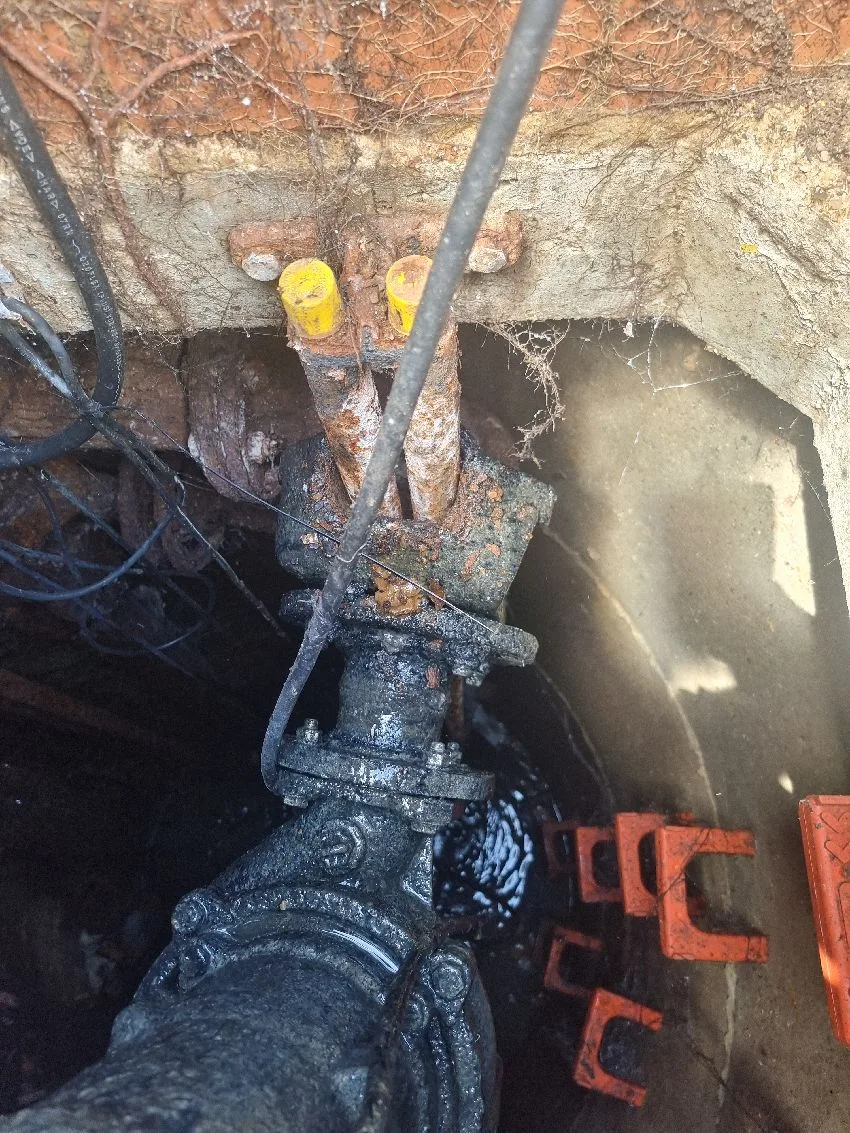 Pump Repair